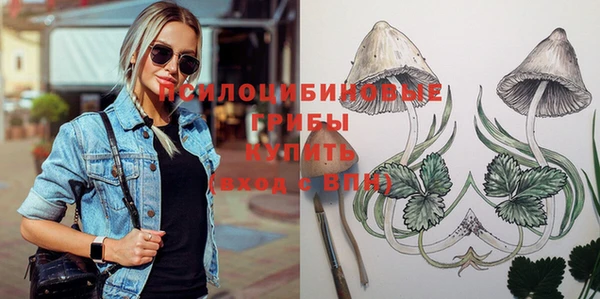 МДПВ Снежногорск