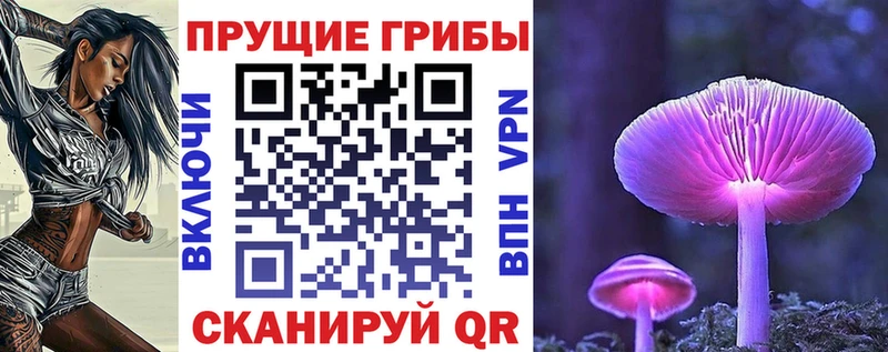 Галлюциногенные грибы Psilocybe  Купить  Чита 